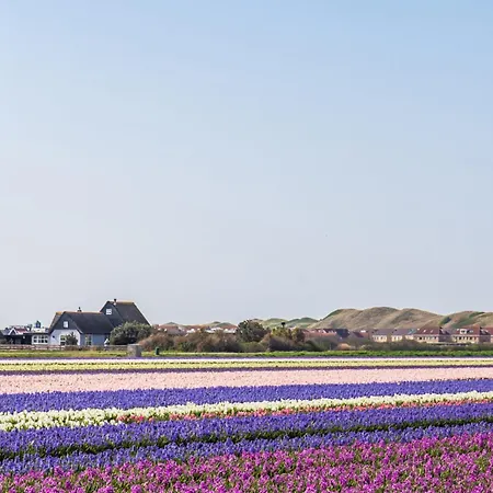 Sina Casa vacanze Julianadorp